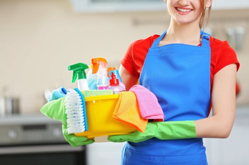 Domestic cleaning service for a Dulwich home interior
