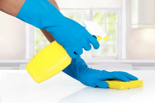 Preparation and detailed cleaning of a Dulwich patio surface