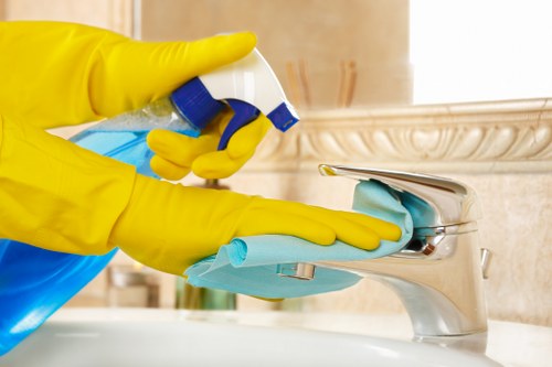Local upholstery cleaner working in a Dulwich property