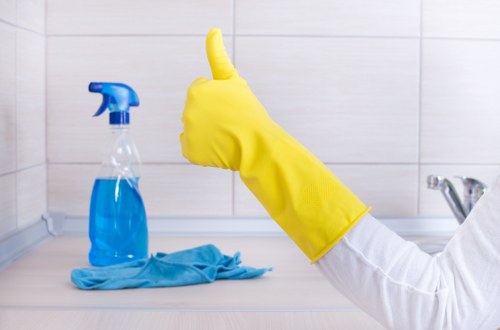 Oven cleaning equipment prepared for a Dulwich property