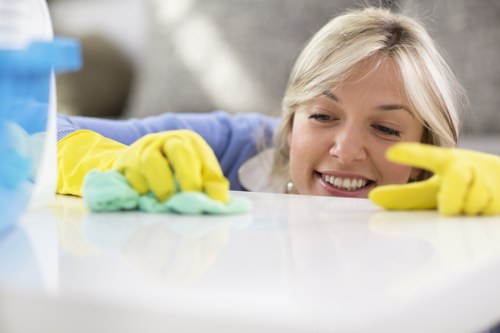 Local technician cleaning a family sofa in a Dulwich home
