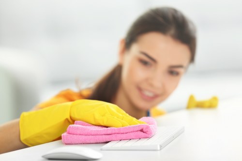Professional carpet deep cleaning equipment used in Dulwich property