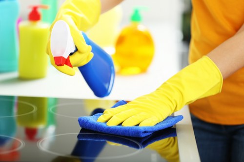 Detailed kitchen and bathroom cleaning in Dulwich