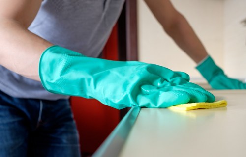 Cleaning equipment used for pet urine stain removal in Dulwich