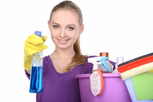 Cleaning appointment confirmation and service details