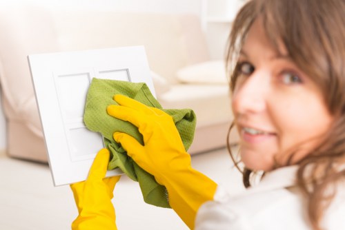 Upholstery and carpet pet odour treatment in a Dulwich residence